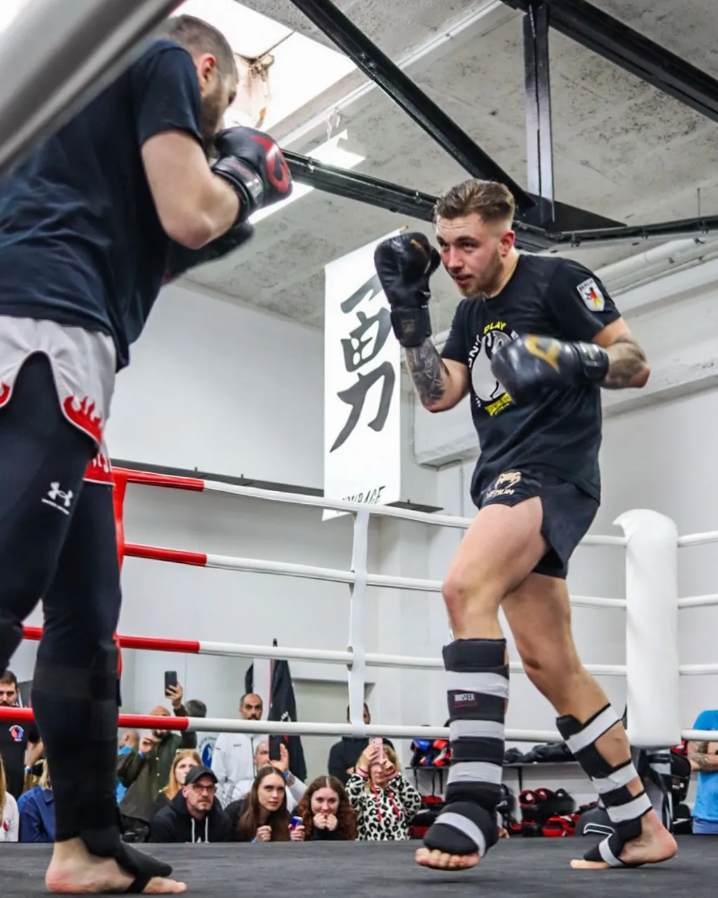 Kampf im Ring